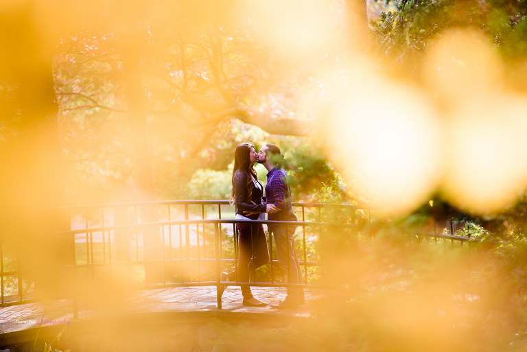 High Park Engagement Photography (36 of 37)