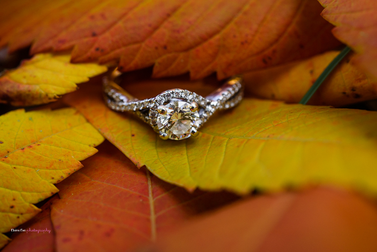 High Park Engagement Photography (37 of 37)